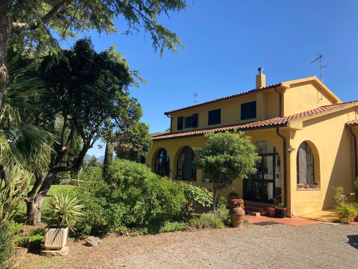 Tenuta Poggio Alla Farnia Fauglia エクステリア 写真