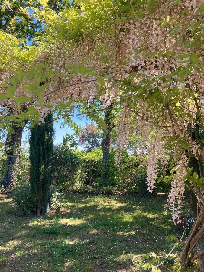 Tenuta Poggio Alla Farnia Fauglia エクステリア 写真