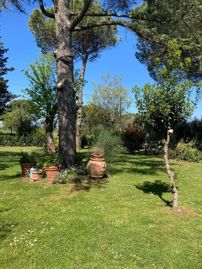 Tenuta Poggio Alla Farnia Fauglia エクステリア 写真