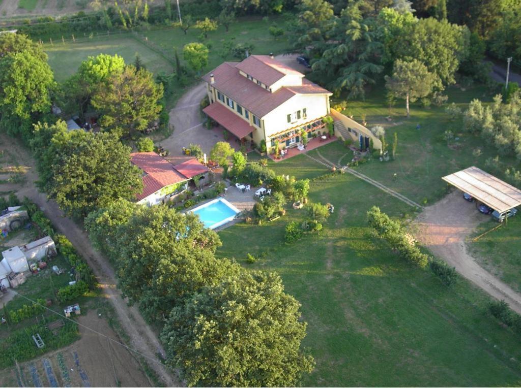 Tenuta Poggio Alla Farnia Fauglia エクステリア 写真