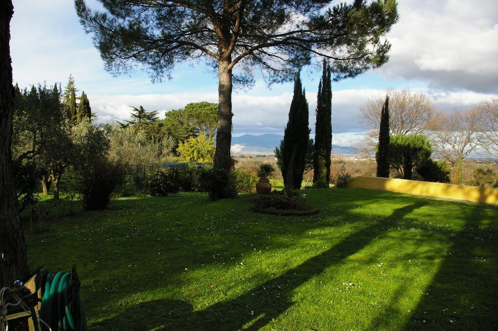 Tenuta Poggio Alla Farnia Fauglia エクステリア 写真