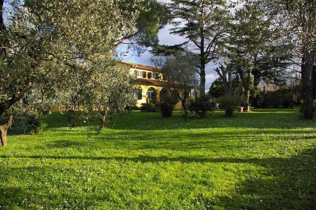 Tenuta Poggio Alla Farnia Fauglia エクステリア 写真