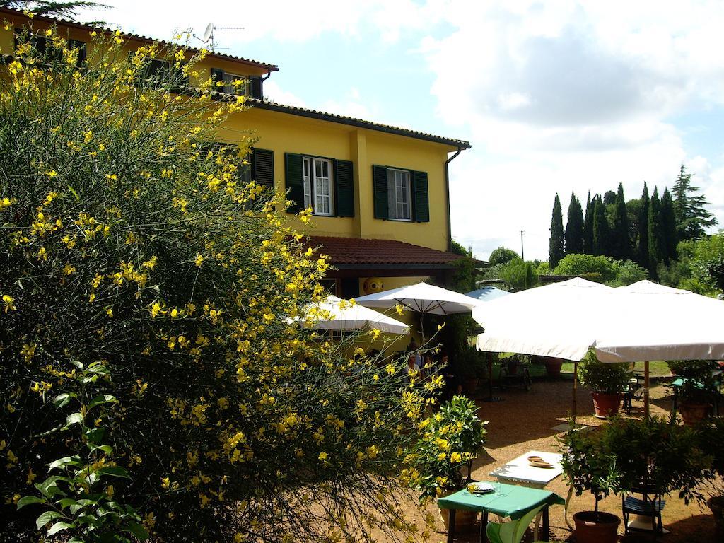Tenuta Poggio Alla Farnia Fauglia エクステリア 写真